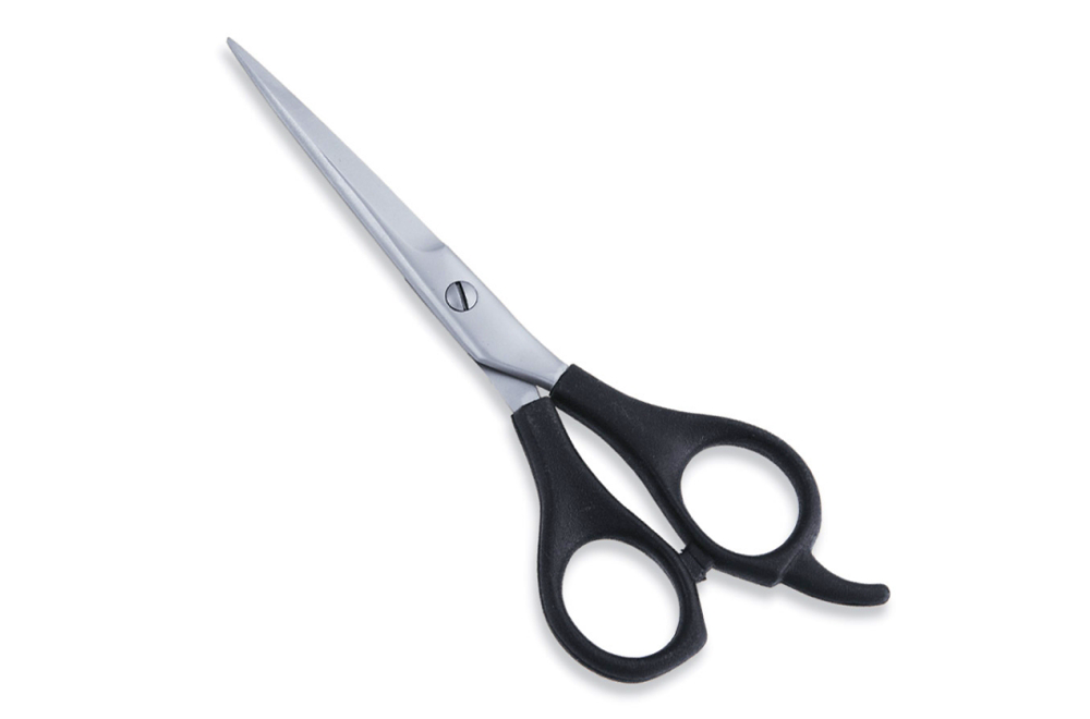 Economy Hair Scissors