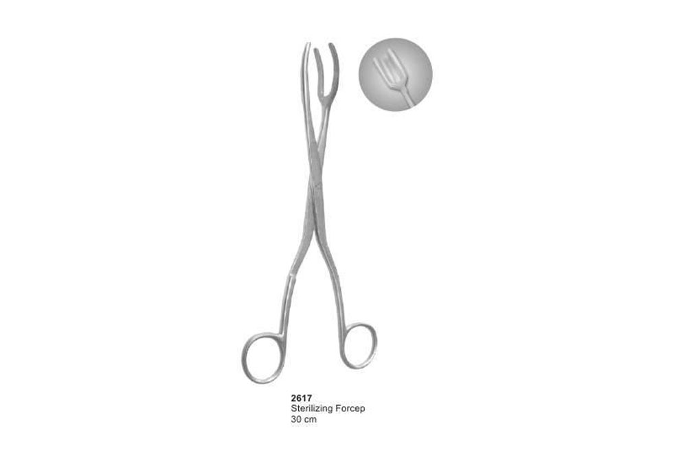 Sterilizing Forceps Curved
