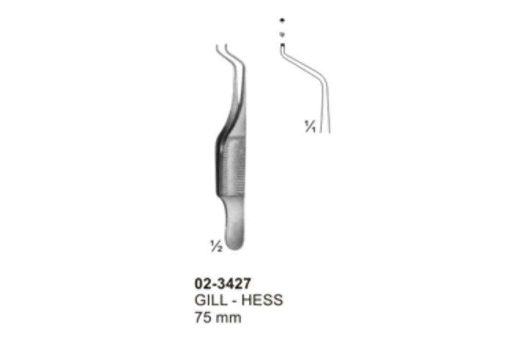 Gill - Hess
